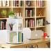 2 Tier 360° Rotating Stackable Shelves Bookshelf Organizer (White) - Intexca